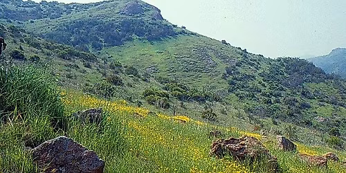 Whitney Canyon Hike & Field Trip