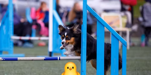 P\u00e5sketrening med Elisabeth FULLT 