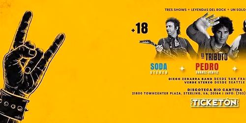 EL TRIBUTO PEDRO SUAREZ VERTIZ. SODA STEREO Y ENANITOS VERDES EN VIRGINIA