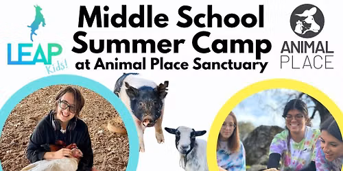 LEAP Kids Summer Camp