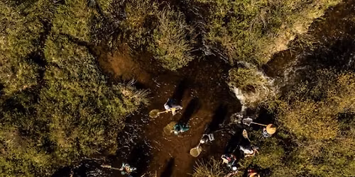 Big Thompson Clean Up!