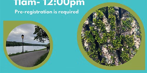 Nature Walk for Families of Toddlers and Preschoolers