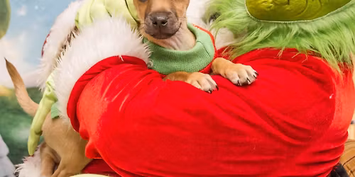 Grinch Photos fundraiser!