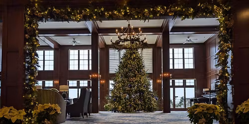America's Christmas Tree Lighting | The Elk Room