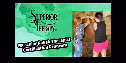 Bring Your Own Horse Bodywork Certification Course - Onsite Training @ El Reno, OK