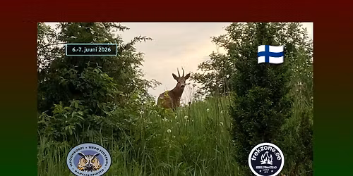 V\u00c4LJA M\u00dc\u00dcDUD! - \u00d6\u00f6matk Sipoonkorpi rahvuspargis