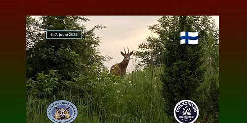 \ud83d\udcab \u00d6\u00f6matk Sipoonkorpi rahvuspargis \u2728