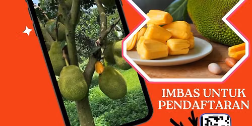 Kursus Hasilan Nangka
