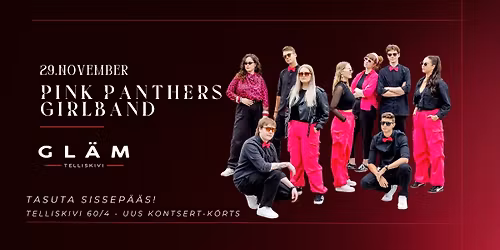 29\/11 Pink Panthers