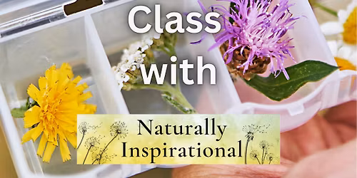 Herbal Class at The Cozy Cat