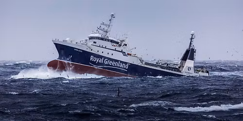 12 \u00e5r i Royal Greenland v. Mikael Thinghuus