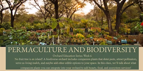 Permaculture & Biodiversity in The Orchard: Orchard Education Series