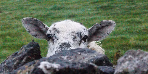 From Jazz to Great Britain - Joan Watson-Jones photography OPENINIG