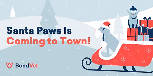 Paws & Claus - Gold Coast