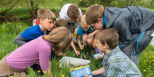 Wilder Families at Lingfield Nature Reserve