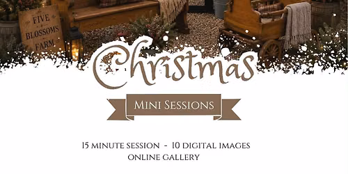 Christmas Minis 2026!