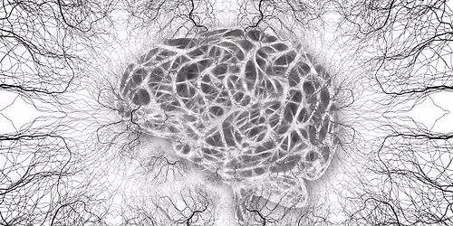 Za hranice diagn\u00f3z: Potkejme neurodivergentn\u00ed klienty tam, kde jsou