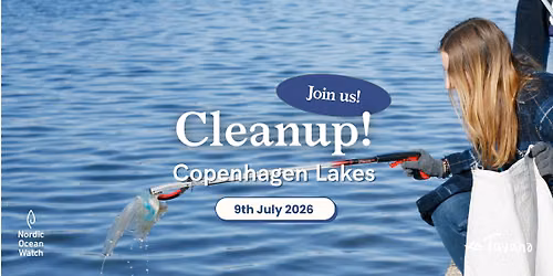 Cleanup at the Copenhagen Lakes \u2013 NOW x Arbejdermuseet