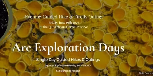 Evening Guided Hike  & Firefly Outing