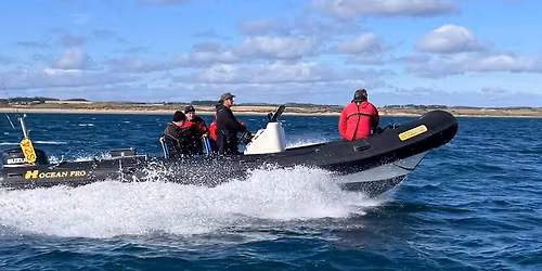 Farne Islands 8th - 10th May