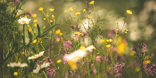 Breathe to Rebirth -hengitysty\u00f6skentely