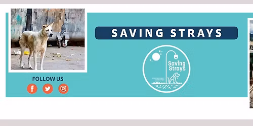 Rick Wakeman and friends 