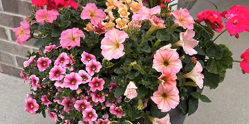 Spring Porch Pots at Mayve