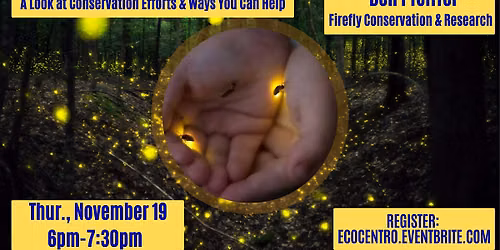 Saving Texas Fireflies: A Look at Conservation Efforts & Ways You Can Help.