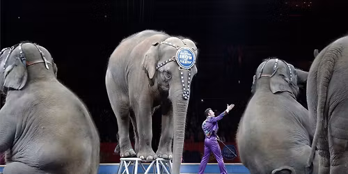 Ringling Bros. and Barnum & Bailey presents The Greatest Show On Earth - Providence