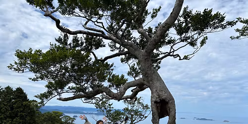 \u661f\u91ce\u5148\u9054\u3068\u884c\u304f!\u91d1\u83ef\u5c71\u30ea\u30c8\u30ea\u30fc\u30c82026