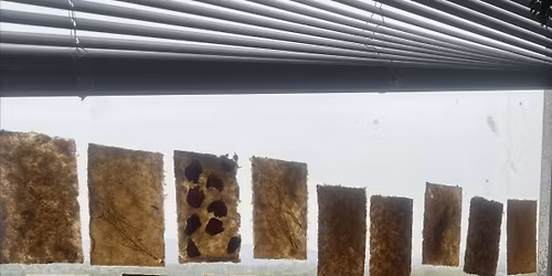 Paper Making Workshop - Edinburgh