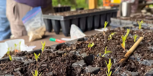 Up-Potting Workshop & Seedling Swap