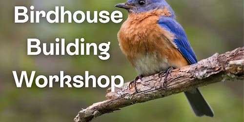 Birdhouse Building Workshop