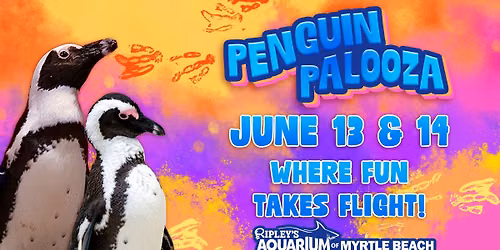 Penguin Palooza at Ripley's Aquarium of Myrtle Beach