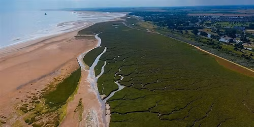 Guided Nature Walk - World Migratory Bird Day (Spring)