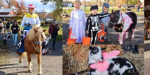 Halloween Party! Trick or Treat at Kelkenberg Farm