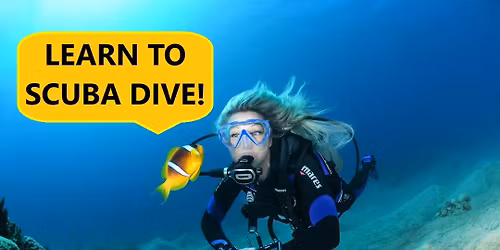 LEARN TO SCUBA DIVE! Evening classes with Gaspar's Dive Shop