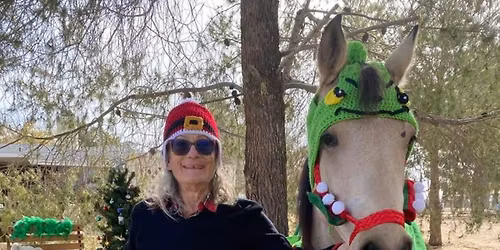 Christmas Party\/Obstacle Clinic