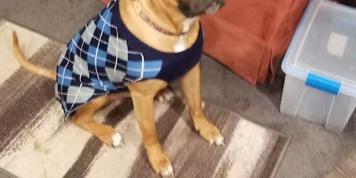 Ugly Christmas Sweater Party