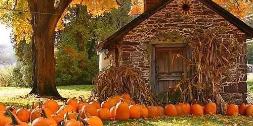 54th Annual Fall Festival in Mullica Hill