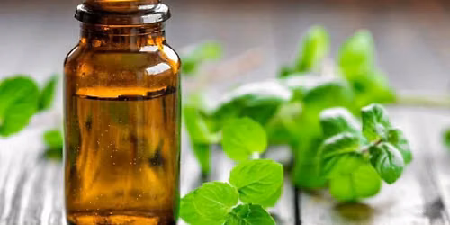 Elevate Your Energy with Essential Oils