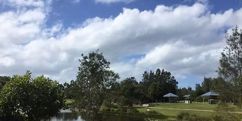 SKETCH Avenue Park Duck Pond Peregian Springs