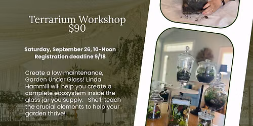 Terrarium Workshop