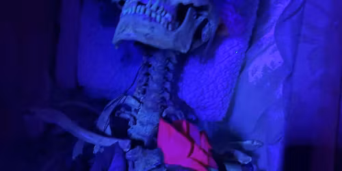 2025 Big Rock Fright Nights