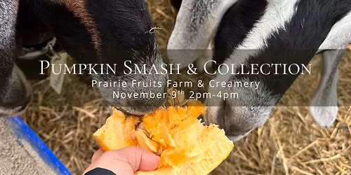 Pumpkin Smashing & Composting Event