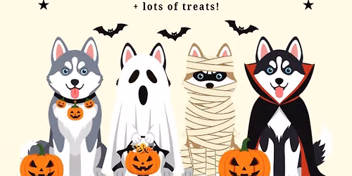 Dog Costume Contest \ud83d\udc36\ud83c\udf83\ud83d\udc7b