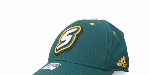 Southeastern Louisiana Lions vs. North Alabama Lions