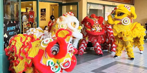 Toishan Lions Dance Troupe (Kids\u2019 Show)