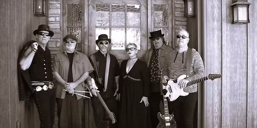 Rogue House Rockers @ 1849 Brewing Co. Saturday November 8th