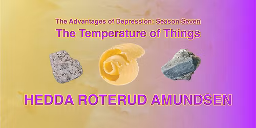 The Temperature of Things - Hedda Roterud Amundsen